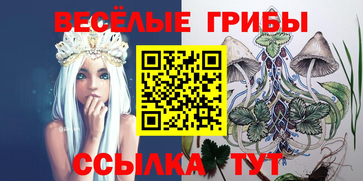 Соль-Илецк  Псилоцибиновые грибы MAGIC MUSHROOMS  Псилоцибиновые грибы Psilocybine cubensis  Вход с VPN 