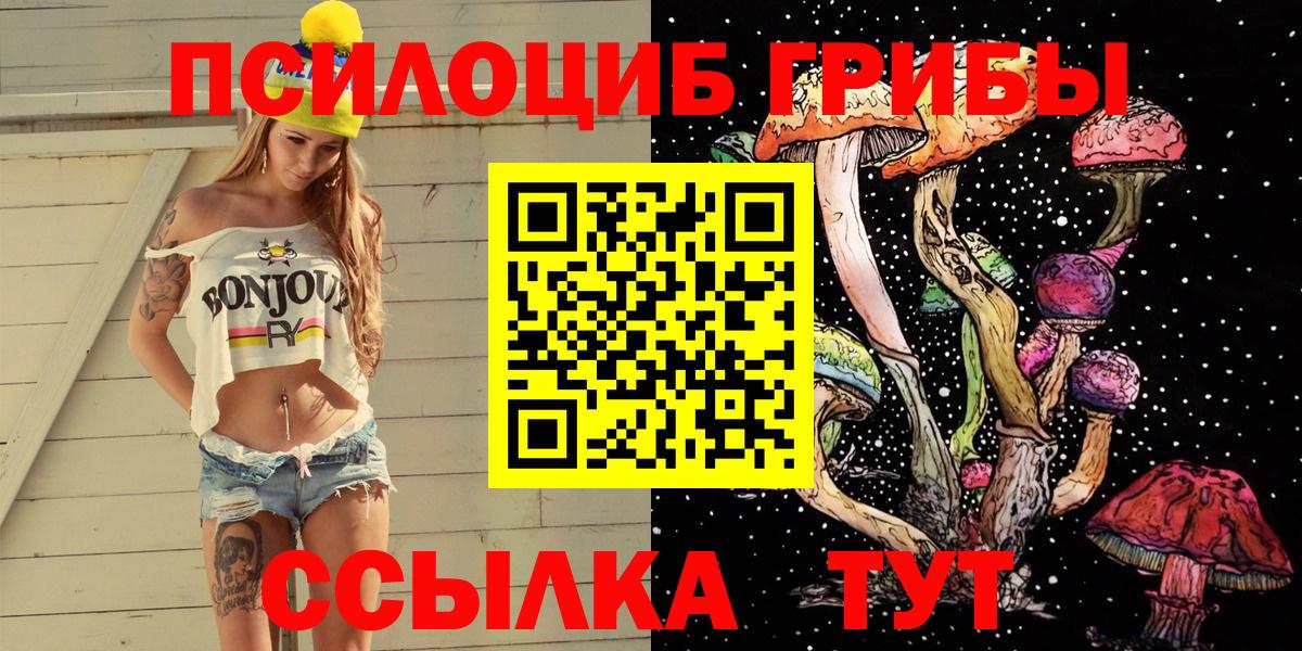 Псилоцибиновые грибы Psilocybe Соль-Илецк